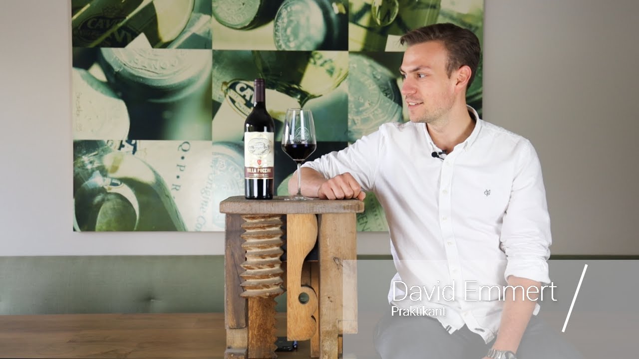 Toscana Rosso IGT Villa Puccini Toskana Rotwein trocken