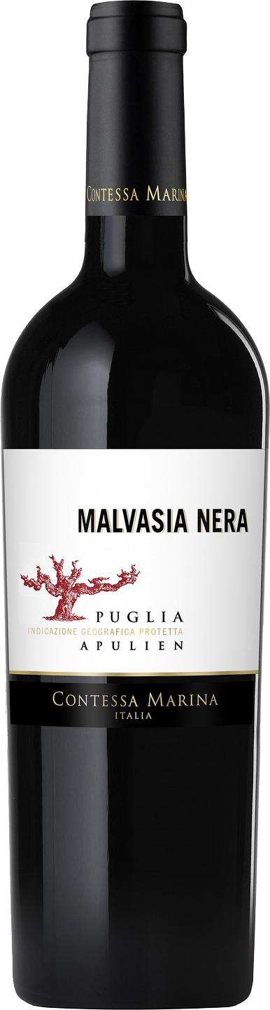 Malvasia Nera Puglia IGP Contessa Marina Apulien Rotwein halbtrocken