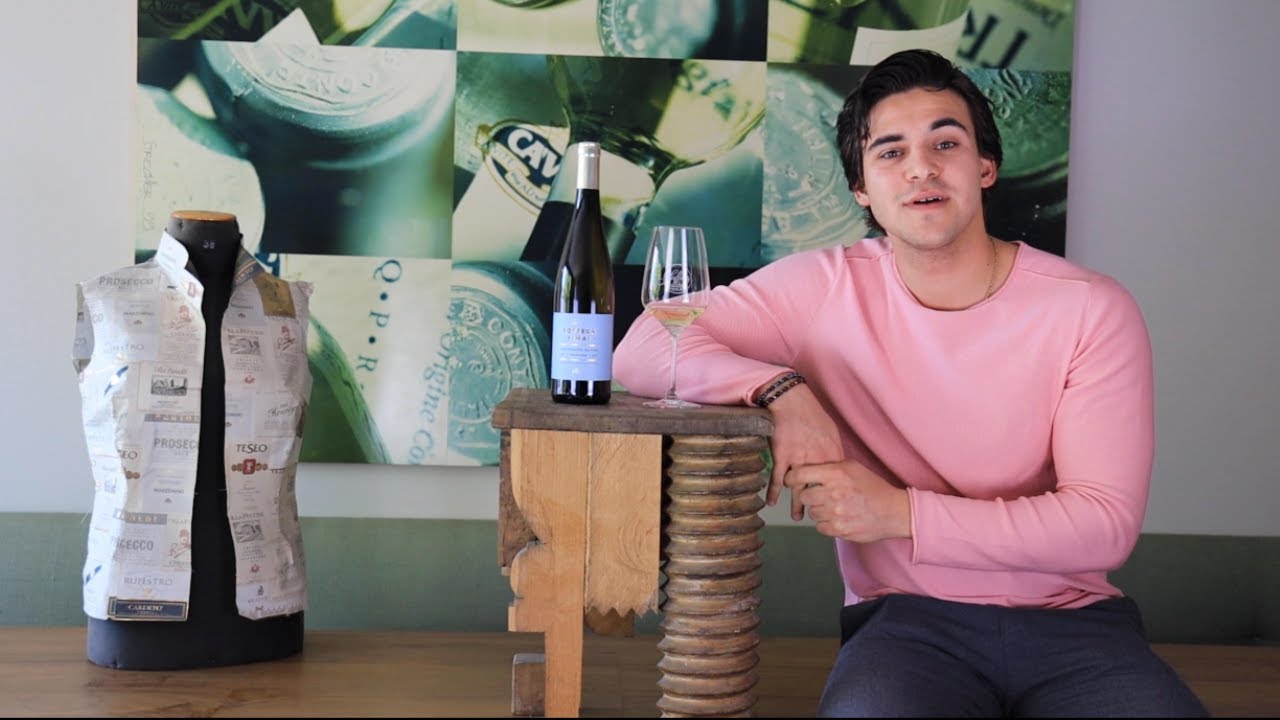 Sauvignon Blanc Trentino DOC  Bottega Vinai Trentin Weißwein trocken