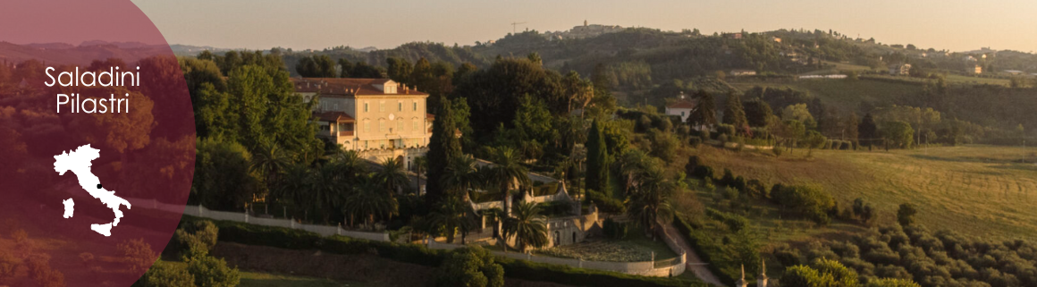 Saladini Pilastri
