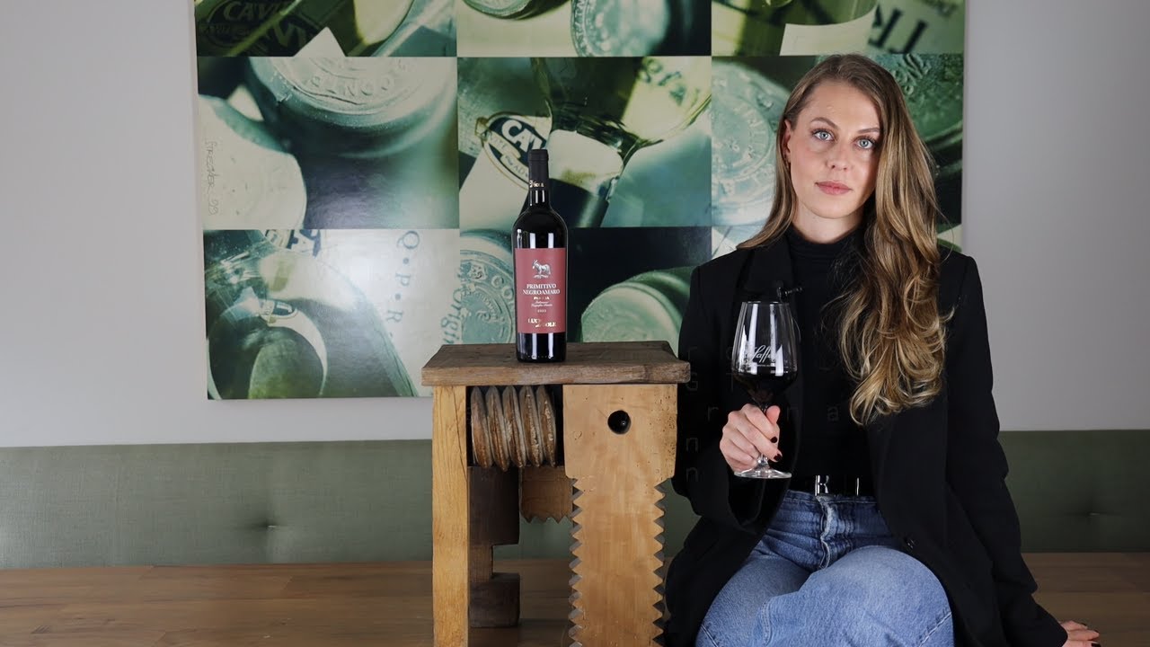 Primitivo Negroamaro Puglia IGT Luce del Sole Apulien Italien Rotwein halbtrocken