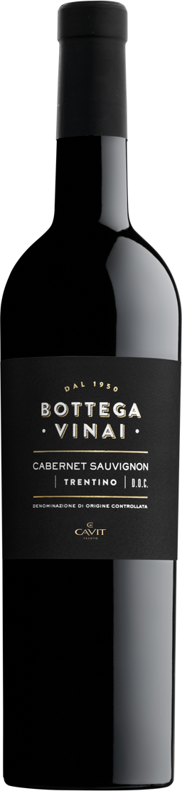 Cabernet Sauvignon Trentino DOC  Bottega Vinai Rotwein trocken