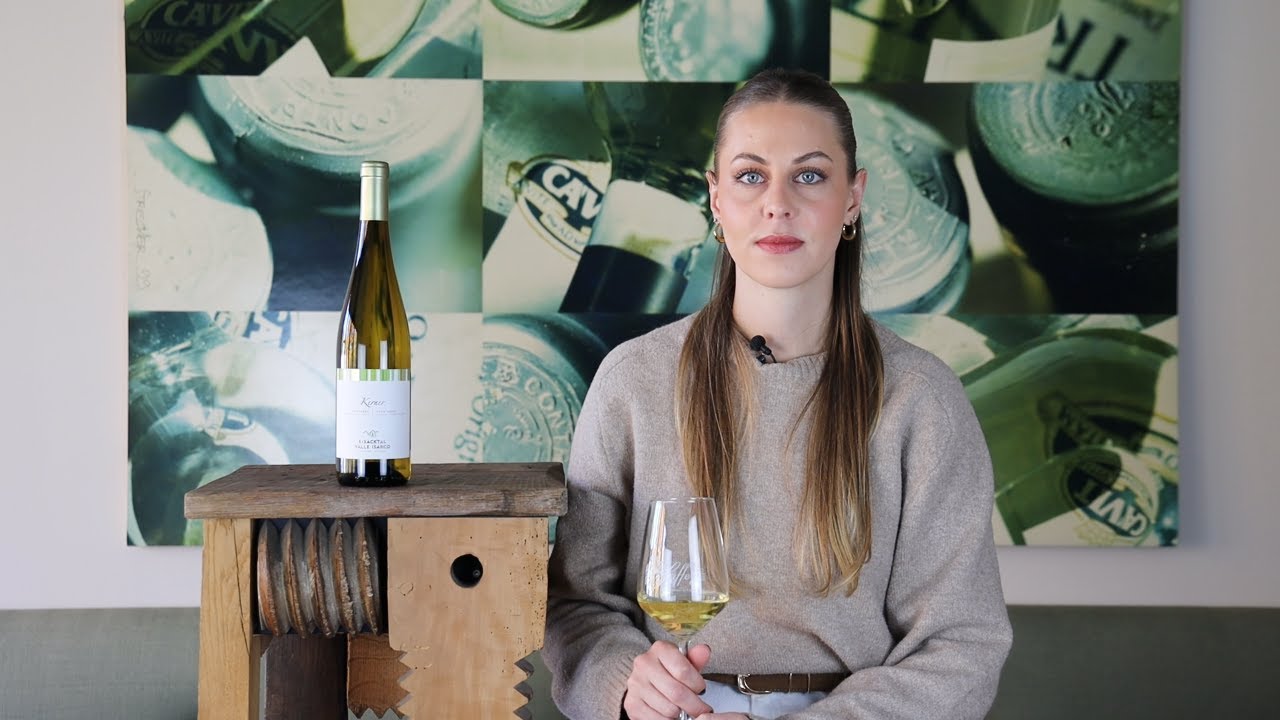 Kerner Eisacktal DOC Eisacktaler Kellerei Südtirol Weißwein trocken