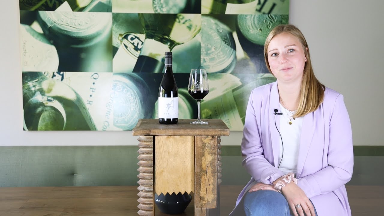 Blaufränkisch QUW Burgenland Strehn Rotwein trocken