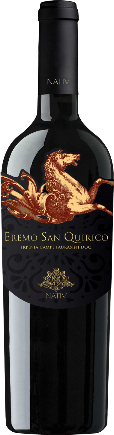 Aglianico Campi Taurasini DOC Eremo San Quirico Nativ Kampanien Rotwein trocken | Saffer's WinzerWelt