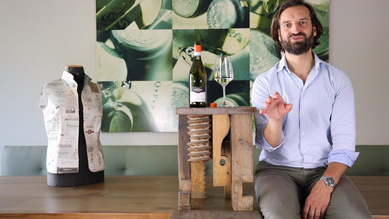 Bio-Prosecco Frizzante Treviso DOC TerrAmore Venetien Perlwein trocken