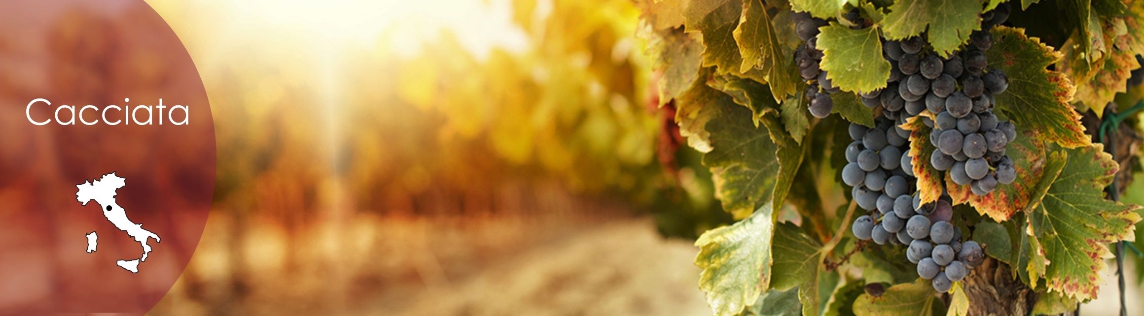 Cacciata