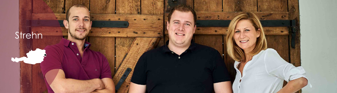 Strehn