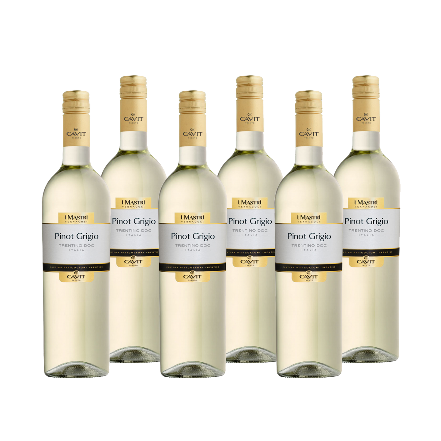 Pinot Grigio Trentino DOC Mastri Vernacoli Trentin Weißwein trocken (6 x 0,75 l)