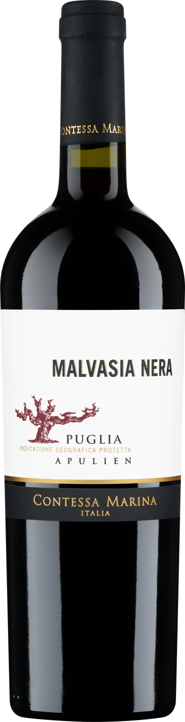 Malvasia Nera Puglia IGP Contessa Marina Apulien Rotwein halbtrocken