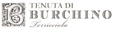 Burchino