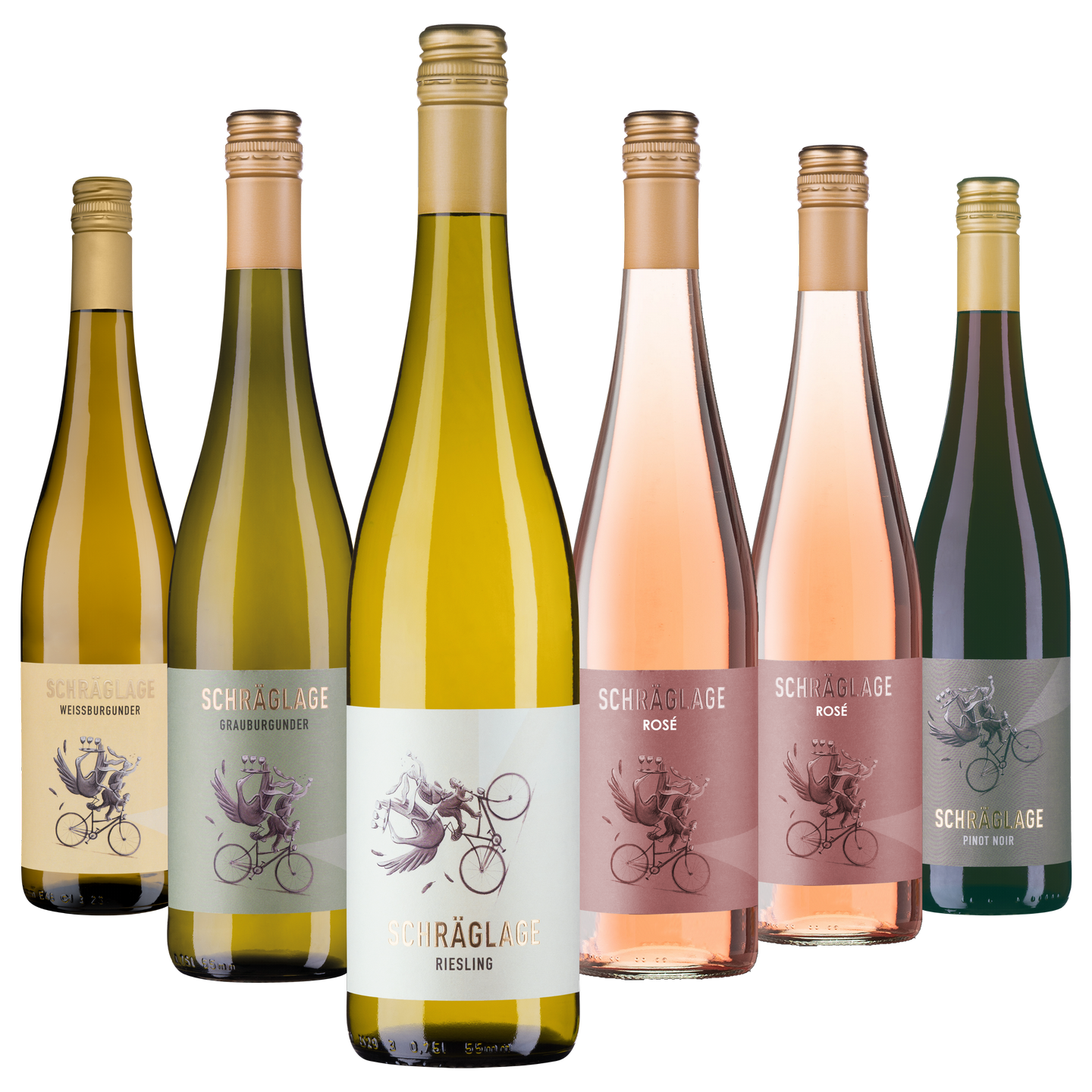 Probierpaket Schräglage – Freunde für jeden Tag | Riesling, Burgunder & Pinot Noir
