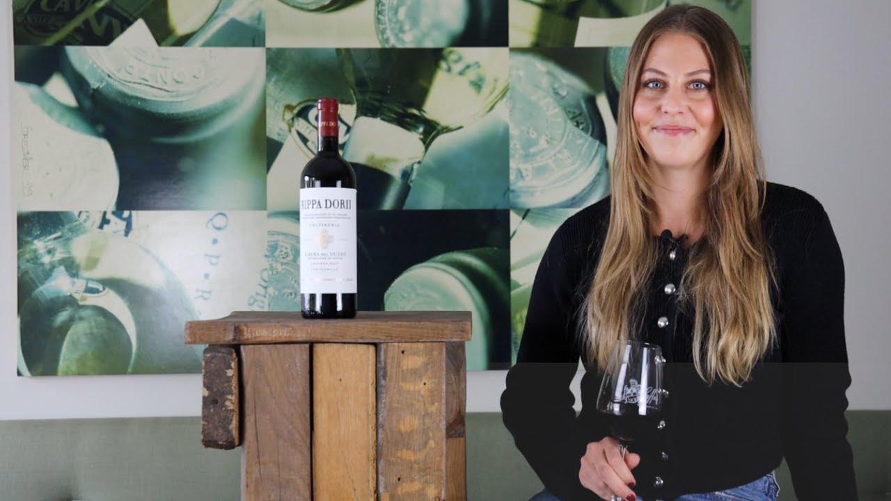 RIPPA DORII Crianza Ribera del Duero DO Bodegas Ontañon Tempranillo Rotwein trocken