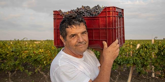 Negroamaro Puglia IGT Contessa Marina Castellani Apulien Rotwein trocken