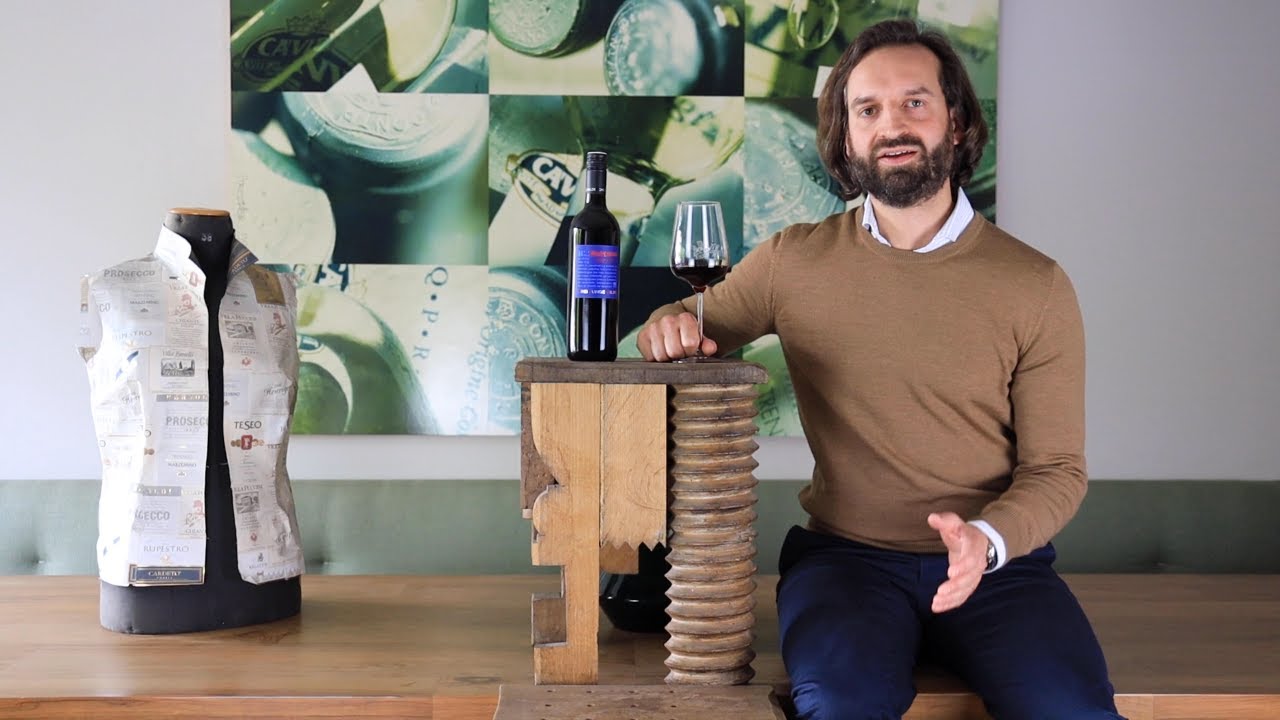 Blaufränkisch QUW Burgenland Drei Junge Wilde Rotwein trocken