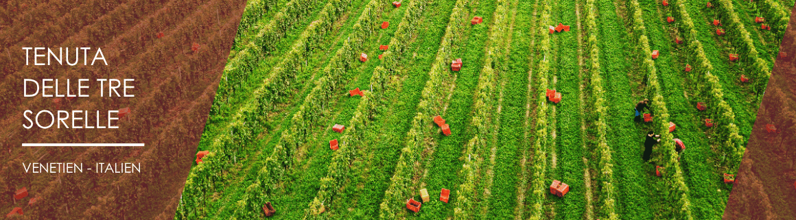 Tenuta delle Tre Sorelle