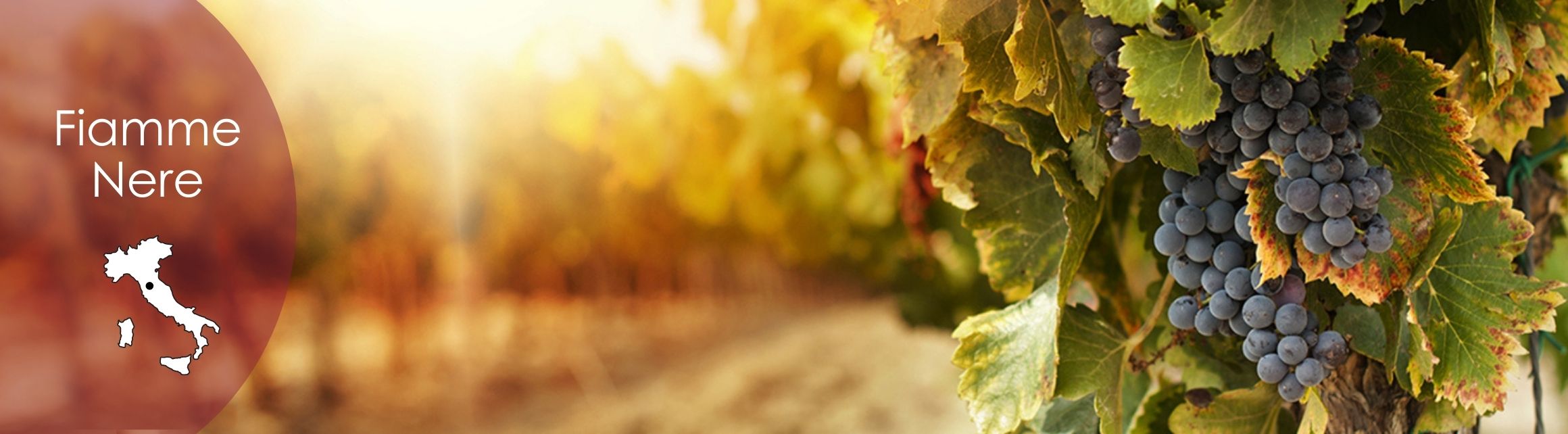 Fiamme Nere