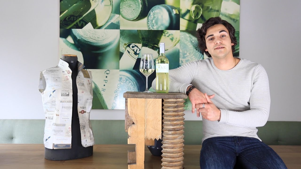 Grüner Veltliner QUW Pleil Niederösterreich Weißwein trocken