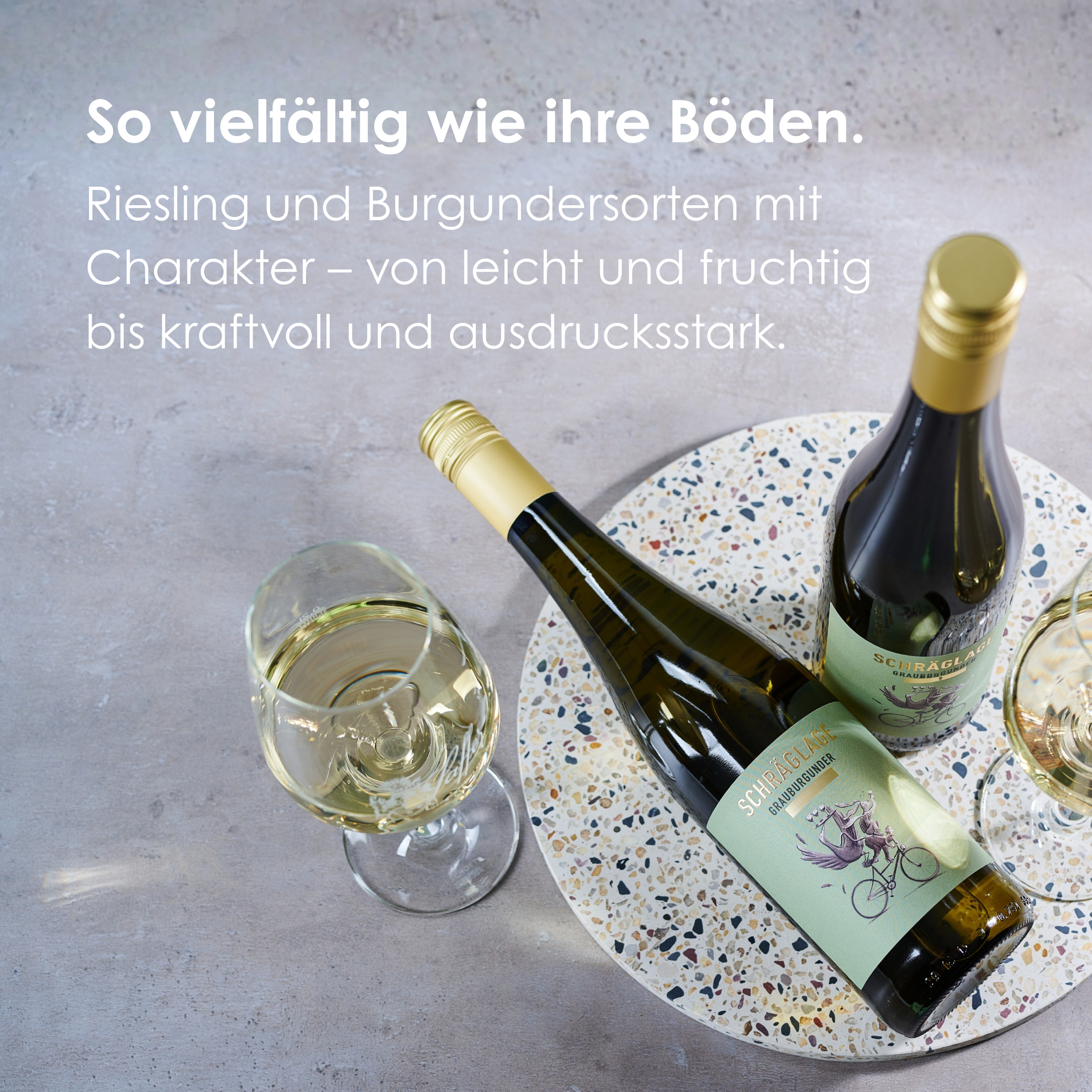 Probierpaket Schräglage – Freunde für jeden Tag | Riesling, Burgunder & Pinot Noir