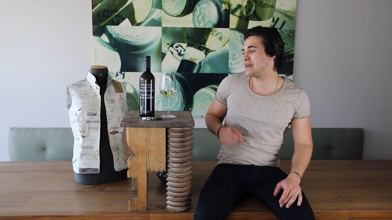 Bio-Grüner Veltliner Kamptal DAC Edelbauer Weißwein trocken