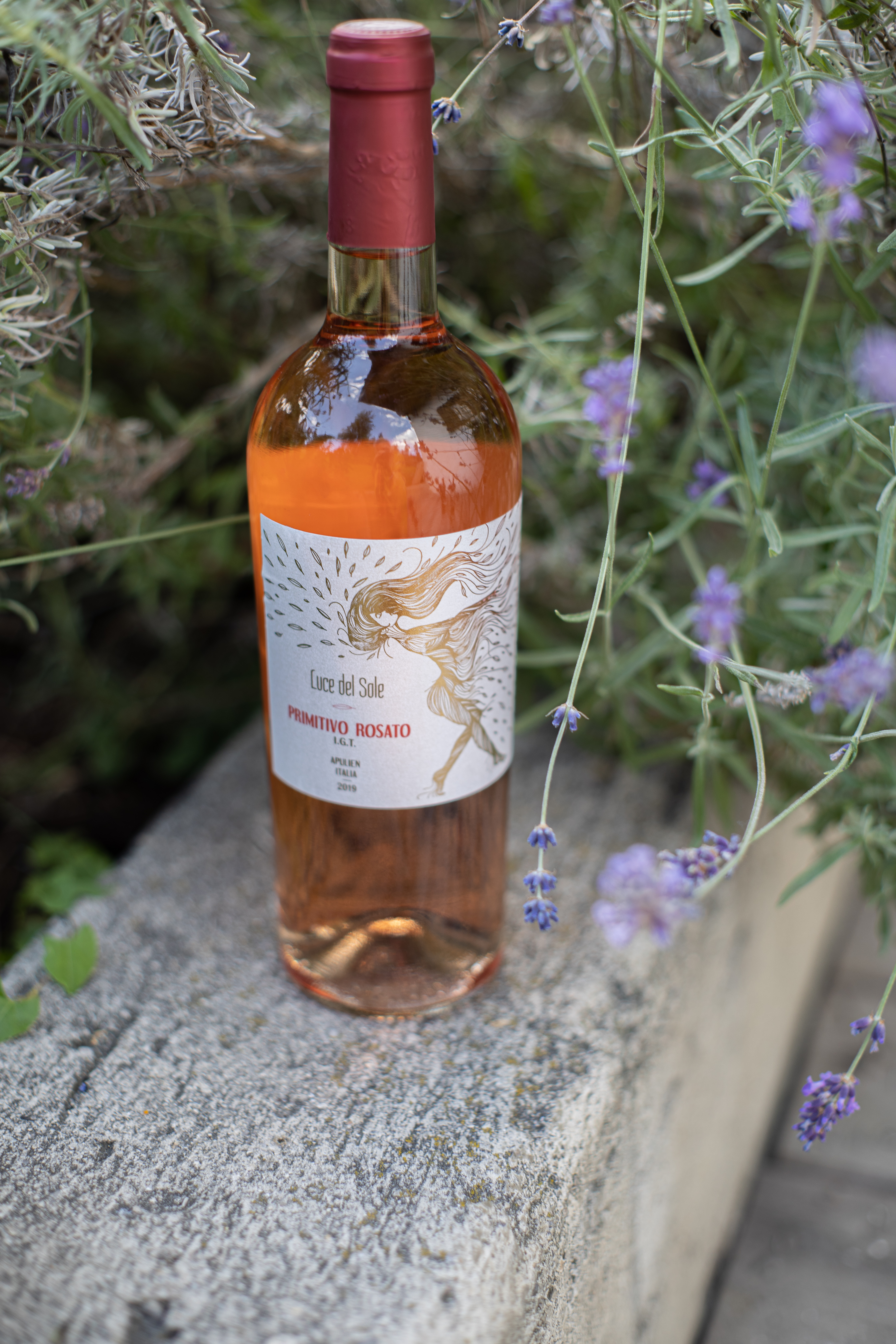 Primitivo Salento Rosato IGT Luce del Sole Apulien Roséwein trocken