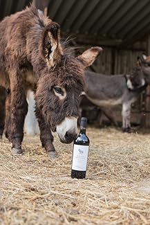 Merlot-Primitivo Tarantino IGT Luce del Sole Apulien Rotwein halbtrocken