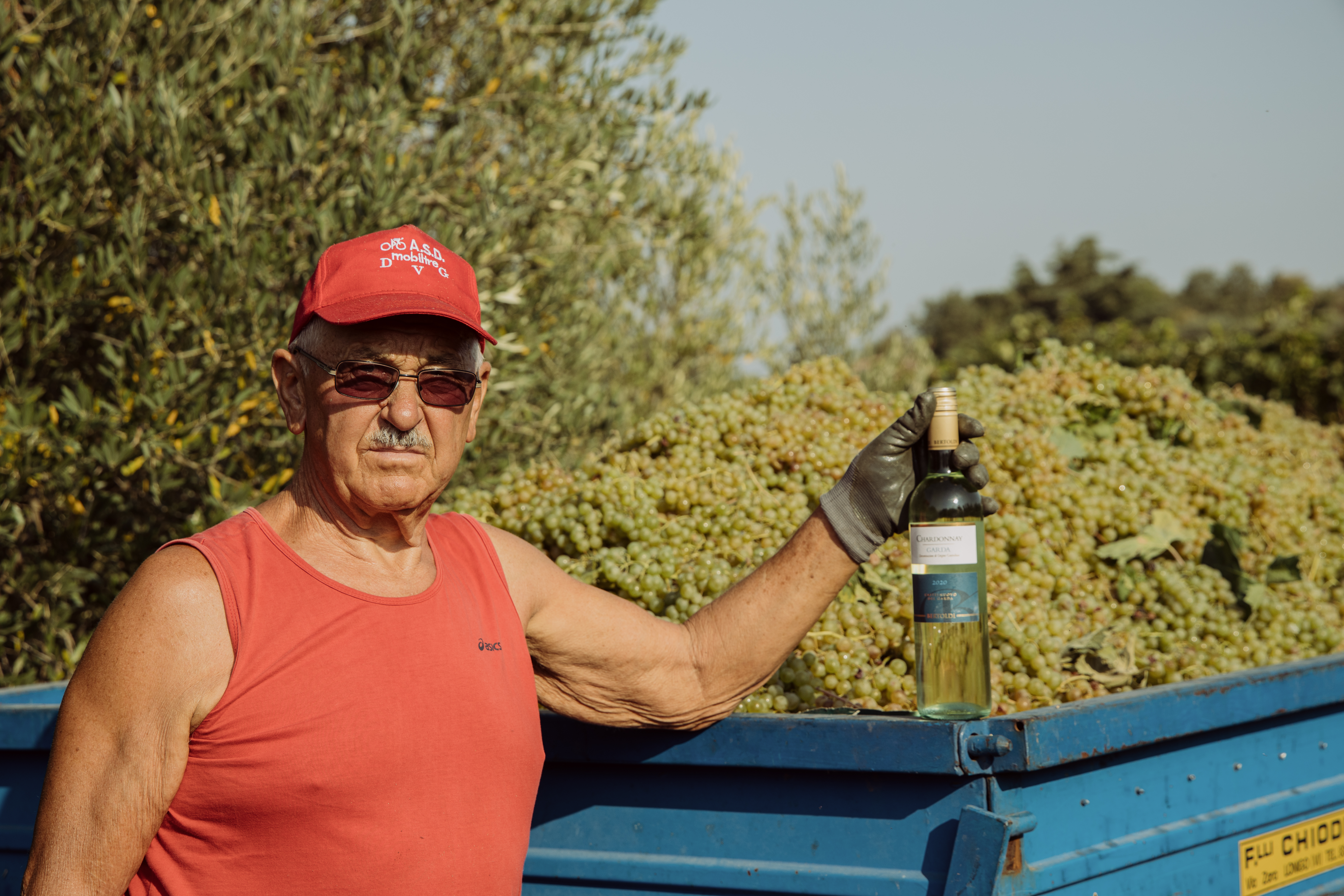 Pinot Grigio Garda DOC Bertoldi Venetien Weißwein trocken