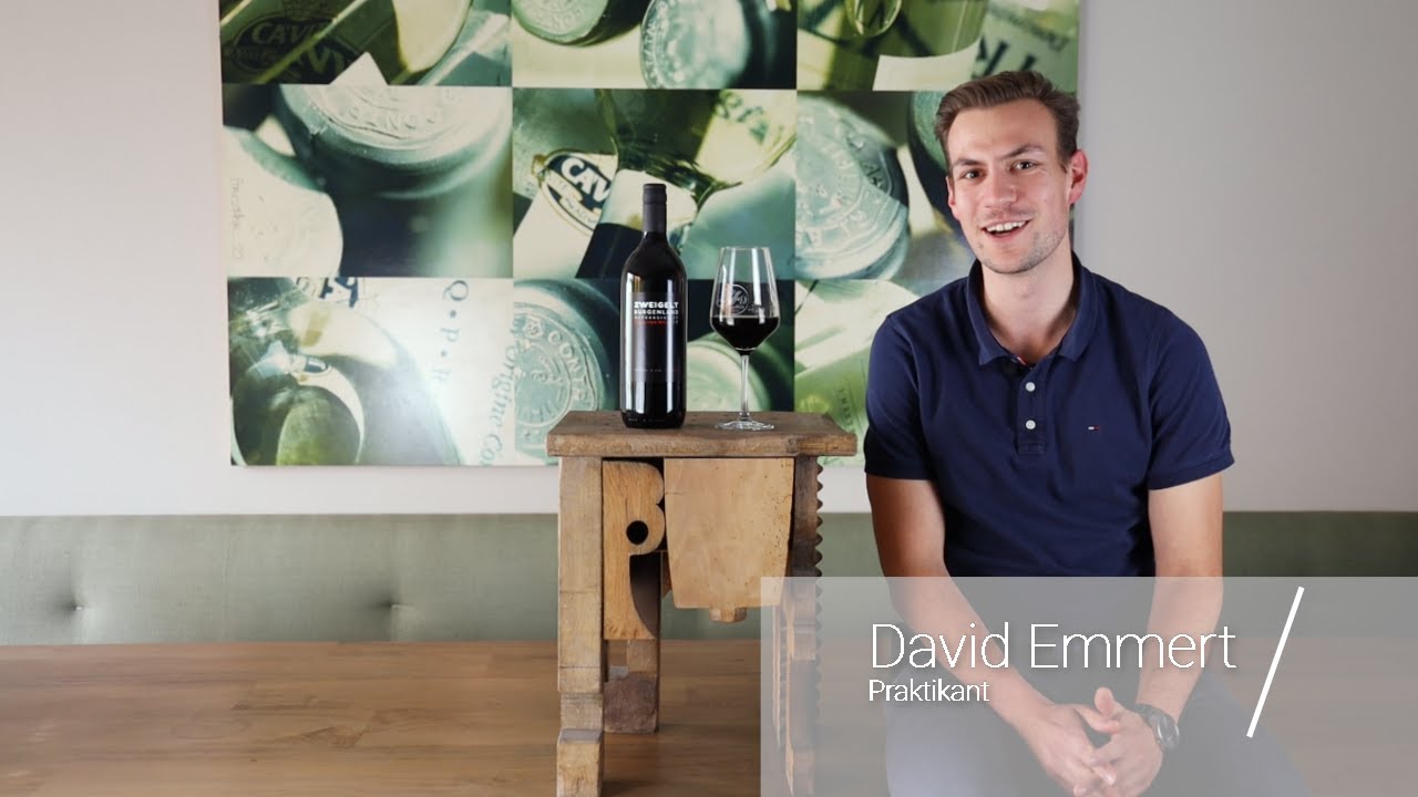 Zweigelt Burgenland QUW Ein Liter Wein 1,0l Aigner Rotwein trocken