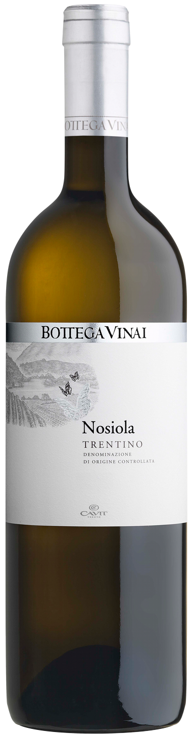 Nosiola Trentino DOC  Bottega Vinai Trentin Weißwein trocken