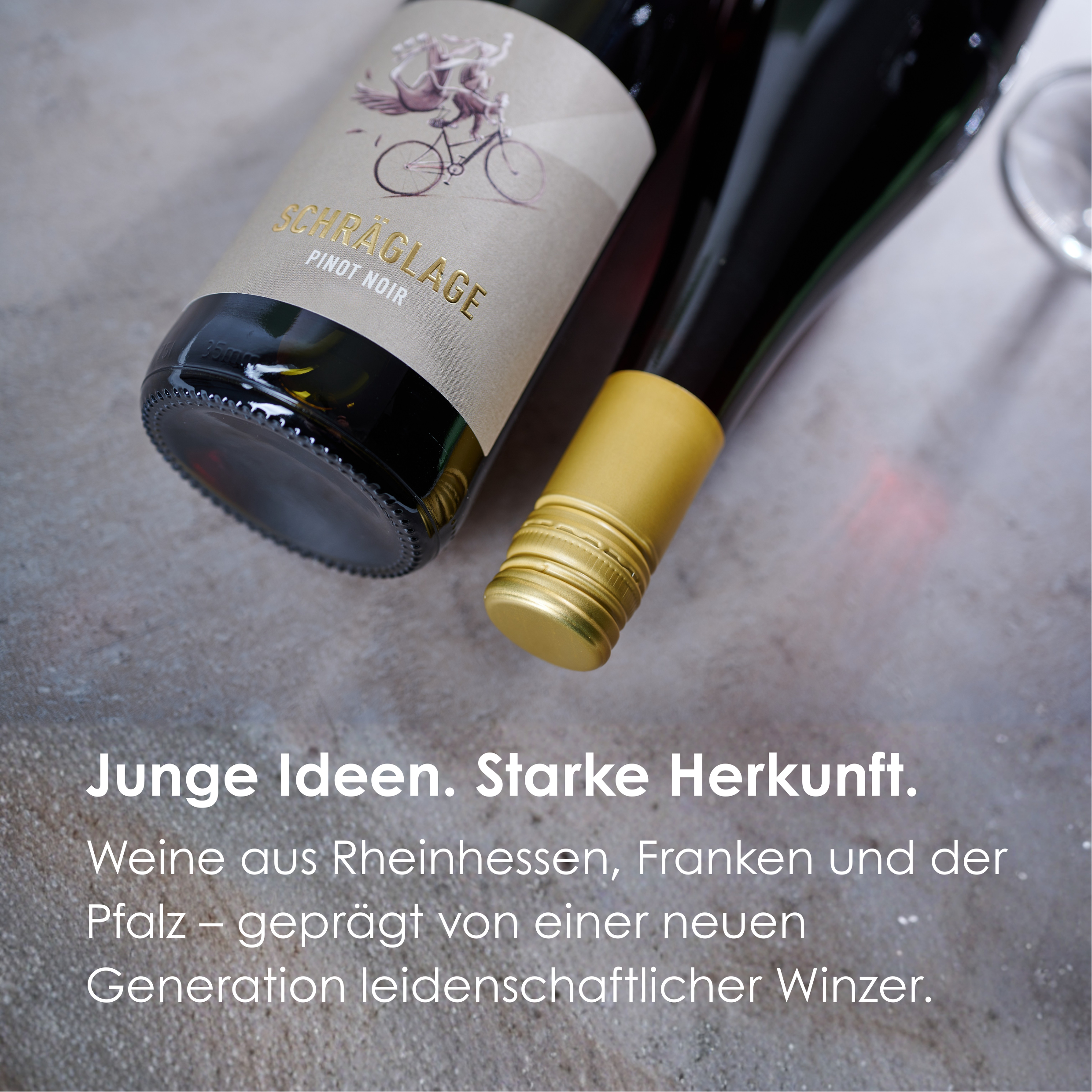 Probierpaket Schräglage – Freunde für jeden Tag | Riesling, Burgunder & Pinot Noir