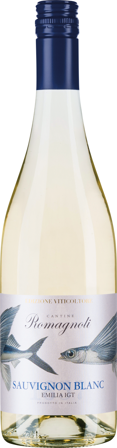 Sauvignon Blanc Edizione Viticoltore Romagnoli Emilia Romagna Weißwein trocken
