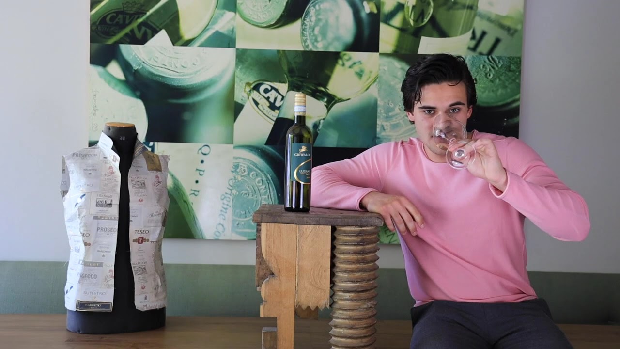 Lugana DOC Griwaldi Venetien Weißwein trocken