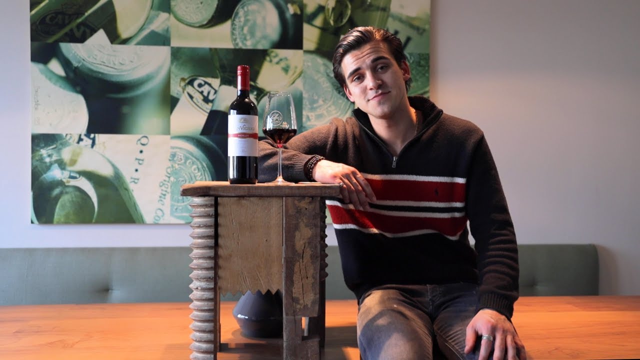 Merlot Trevenezie IGT San Vigilio Cavit Venetien Rotwein trocken