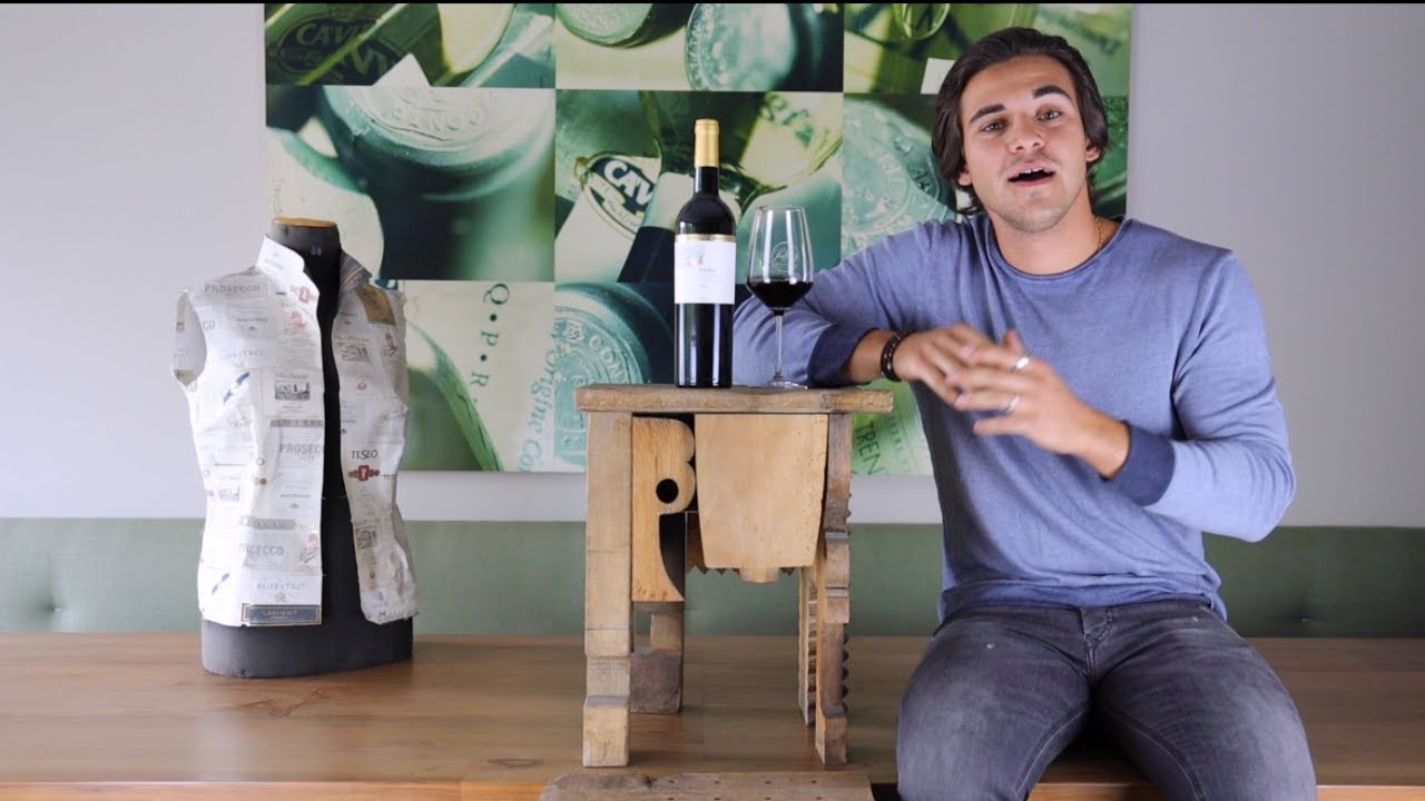 Merlot Trentino DOC  Bottega Vinai Trentin Rotwein trocken