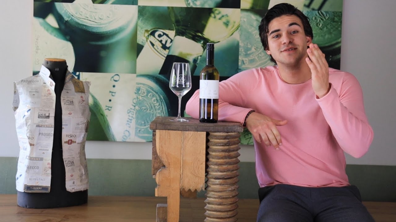 Grüner Veltliner QUW Münzenrieder Burgenland Weißwein trocken