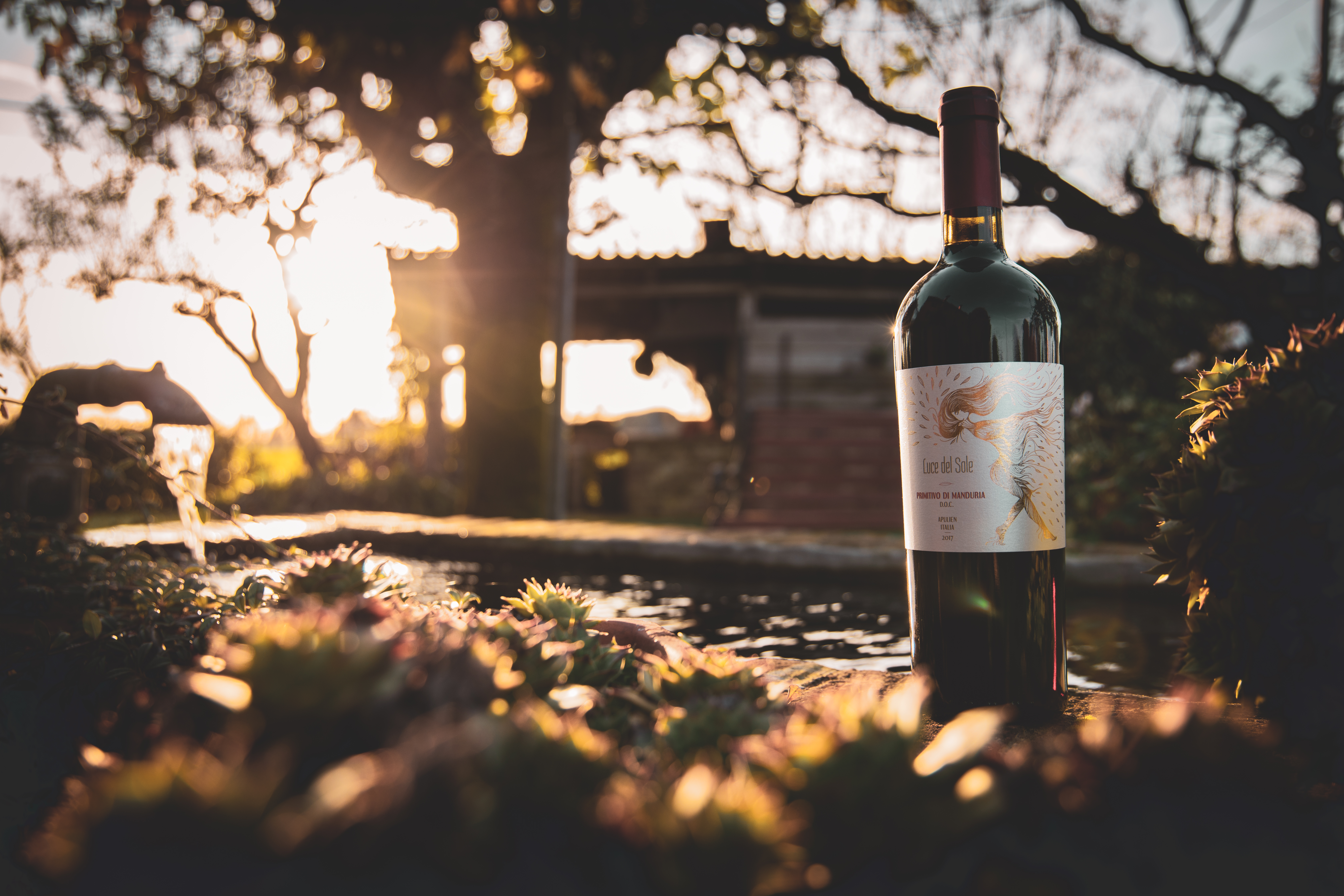 Primitivo di Manduria DOC Luce del Sole Apulien Rotwein trocken