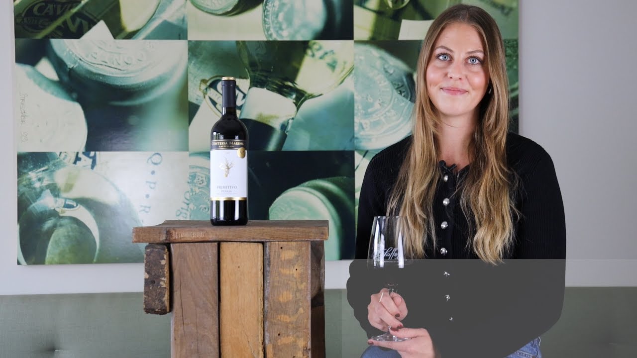 Primitivo Puglia IGT Contessa Marina Apulien Rotwein trocken