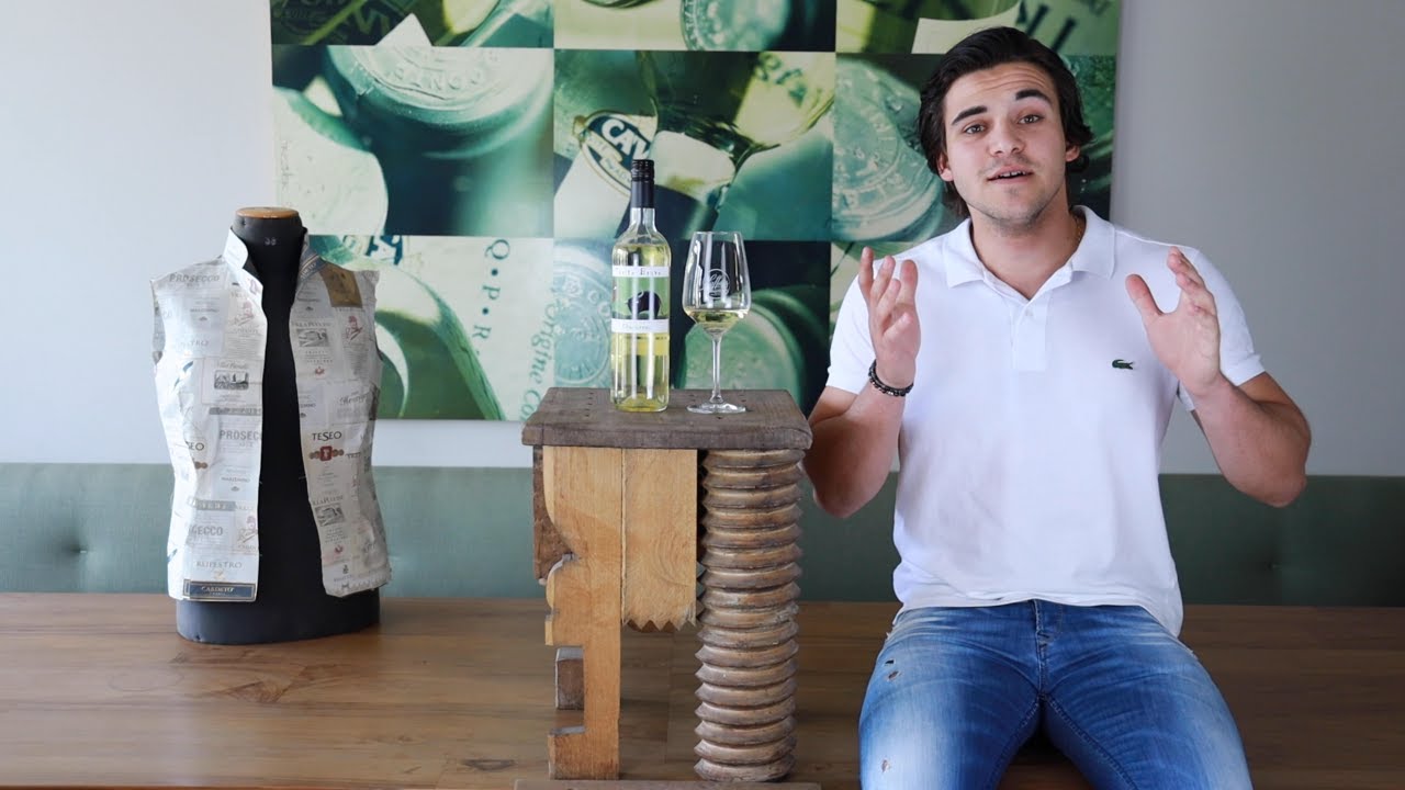 Chardonnay Macabeo Cariñena DOP Weißwein trocken