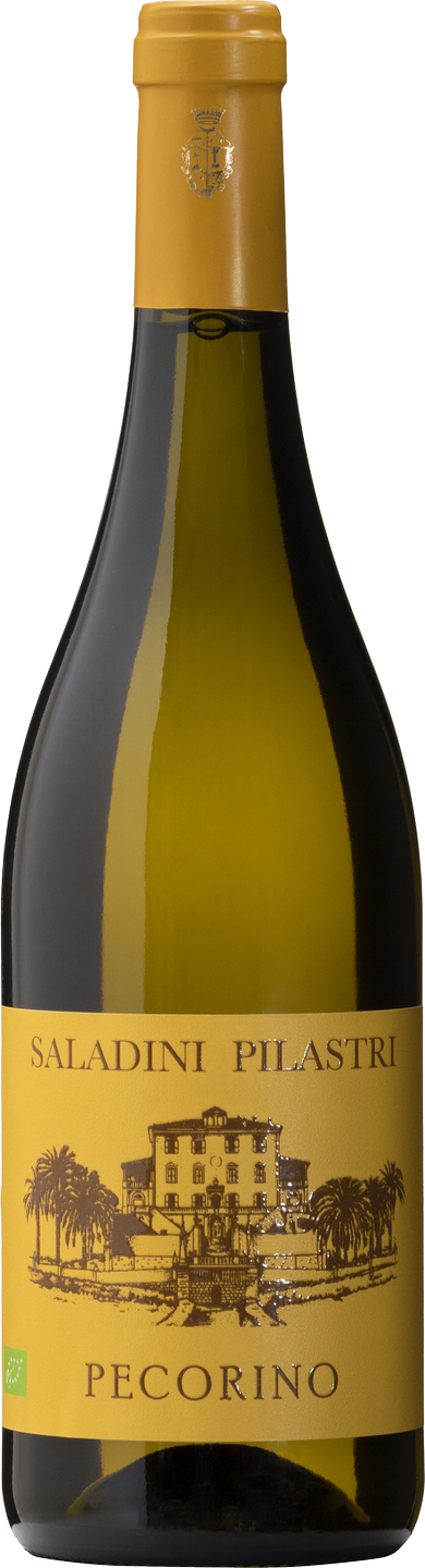 Pecorino Falerio DOC Saladini Pilastri BIO Marken Italien Weißwein trocken