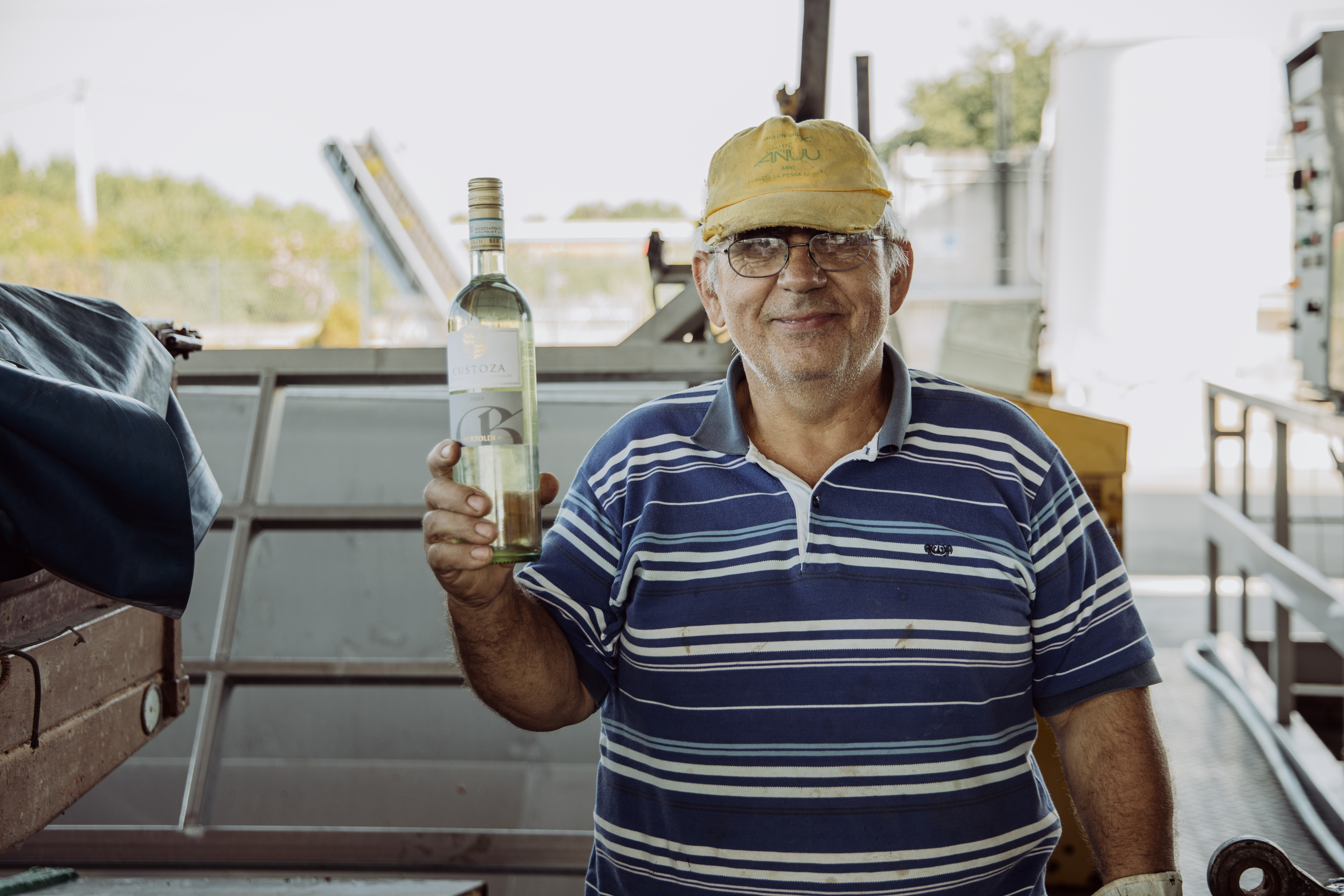 Custoza DOC Bertoldi Venetien Weißwein trocken