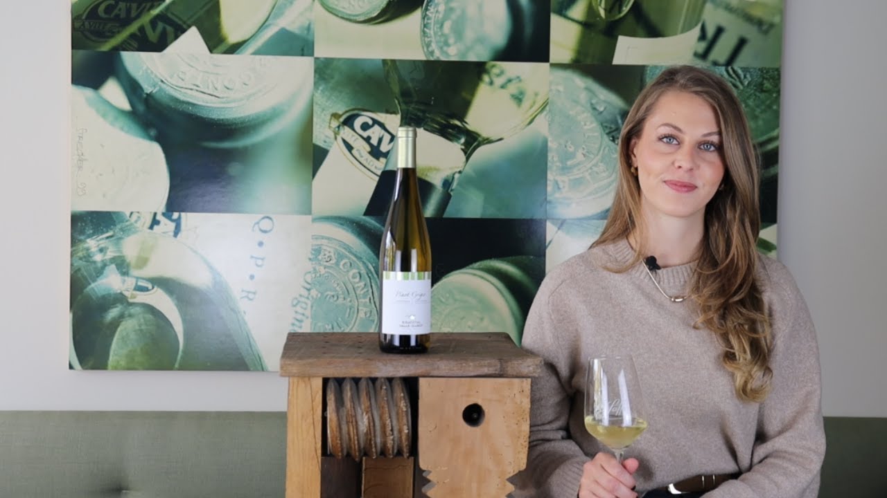 Pinot Grigio Eisacktal DOC Eisacktaler Kellerei Südtirol Italien Weißwein trocken