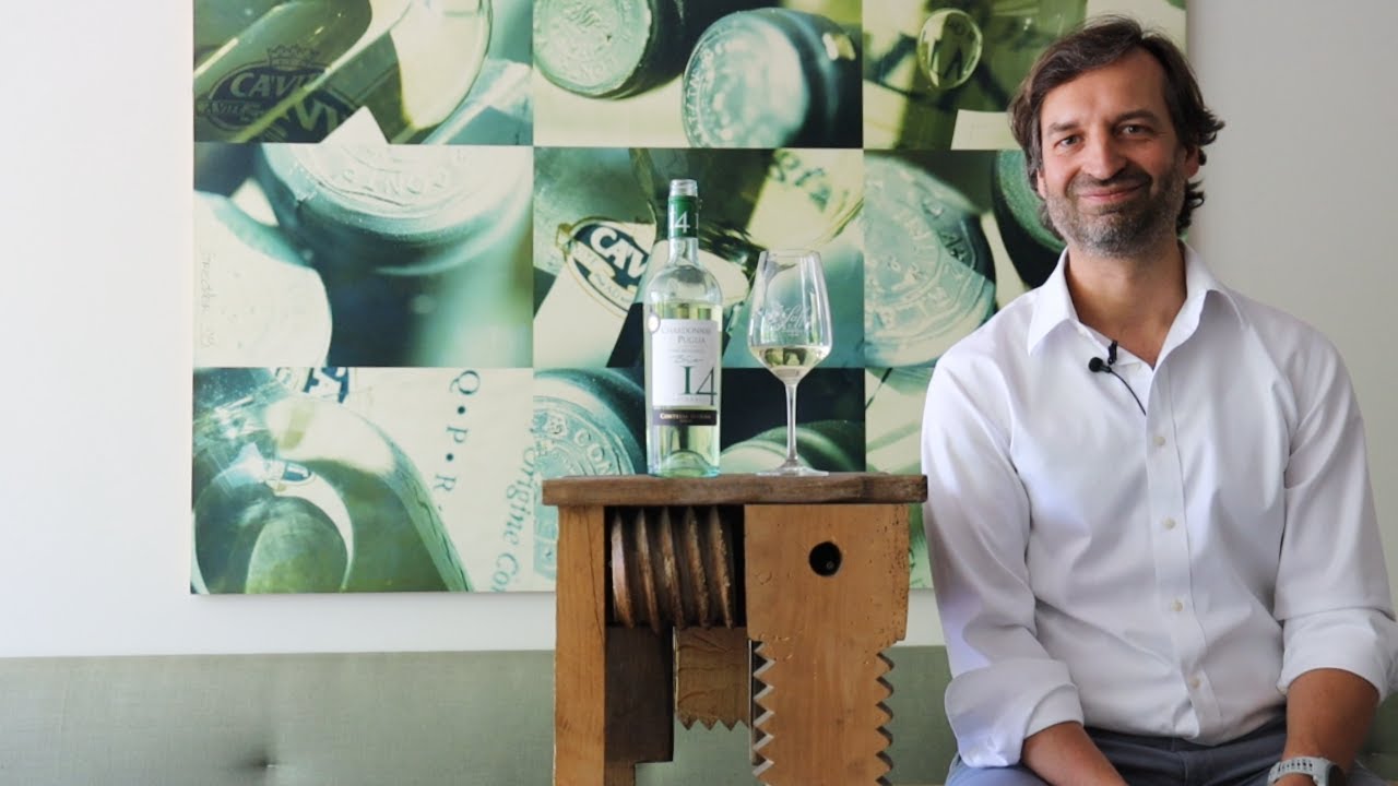 Bio-Chardonnay Puglia IGT 14 Contessa Marina Apulien Italien Weißwein trocken