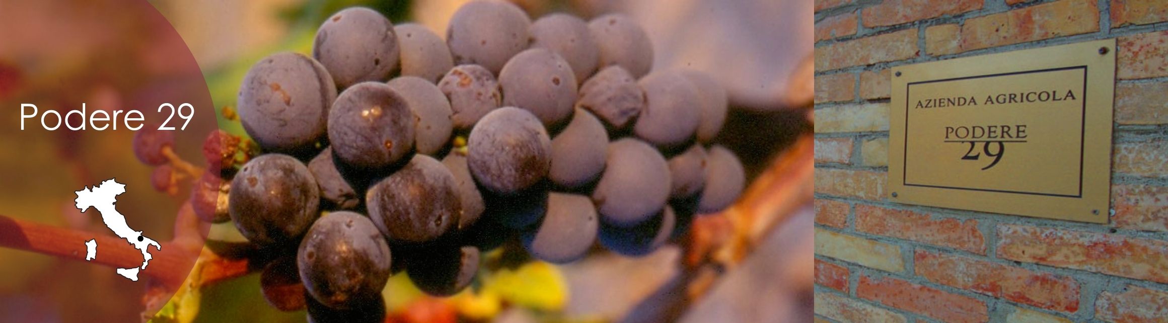Podere 29