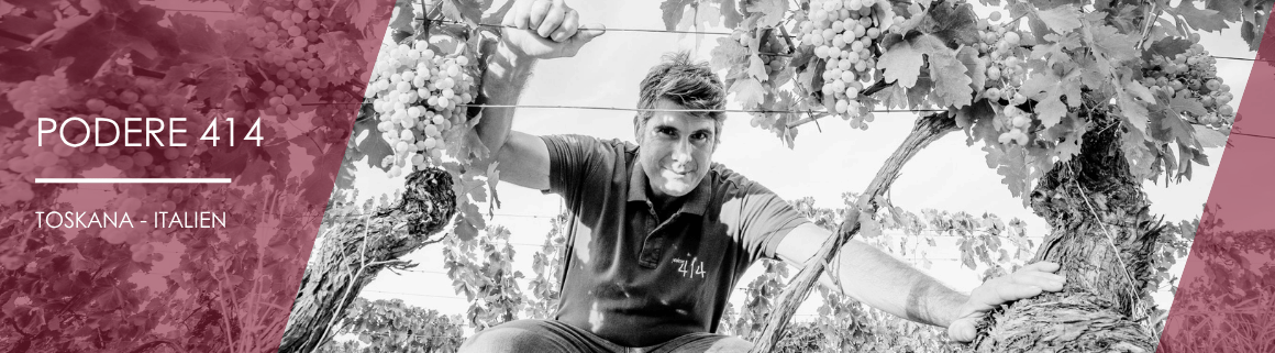 Podere 414