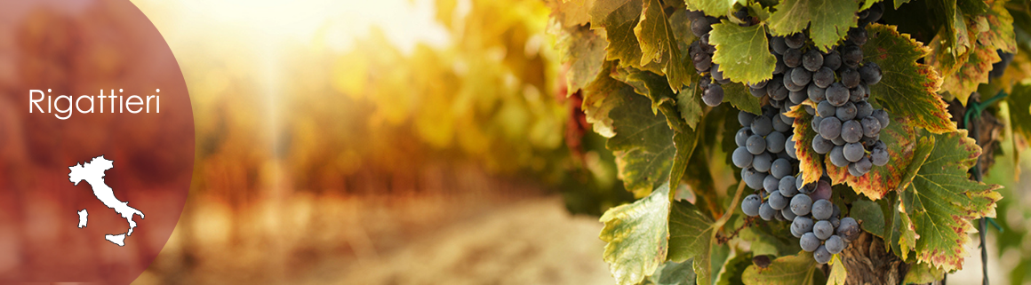 Rigattieri