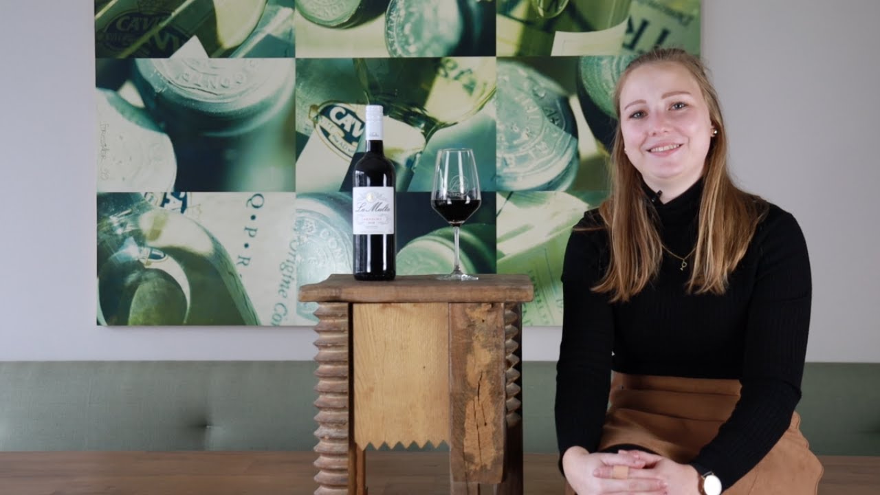 Garnacha Old Vine Calatayud DO La Multa San Gregorio Rotwein trocken