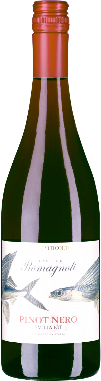 Pinot Nero Edizione Viticoltore Romagnoli Emilia Romagna Rotwein trocken