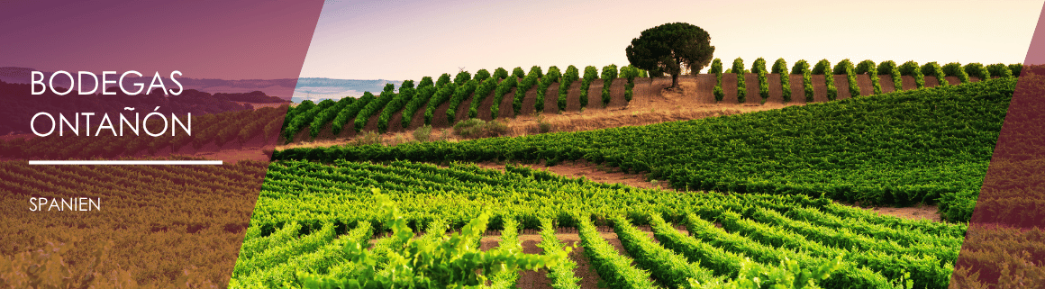 Bodegas Ontañón