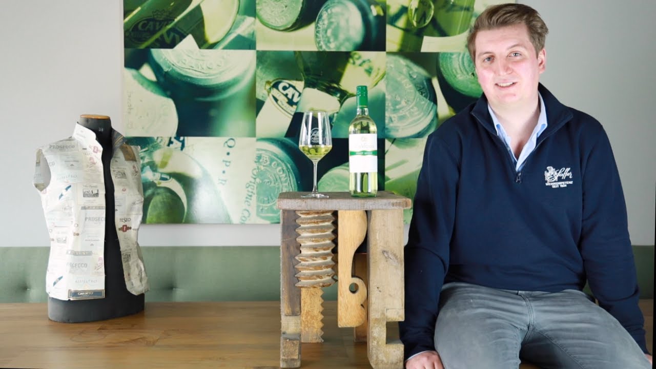 Pinot Grigio Pavia IGT San Vigilio Cavit Lombardei Weißwein trocken