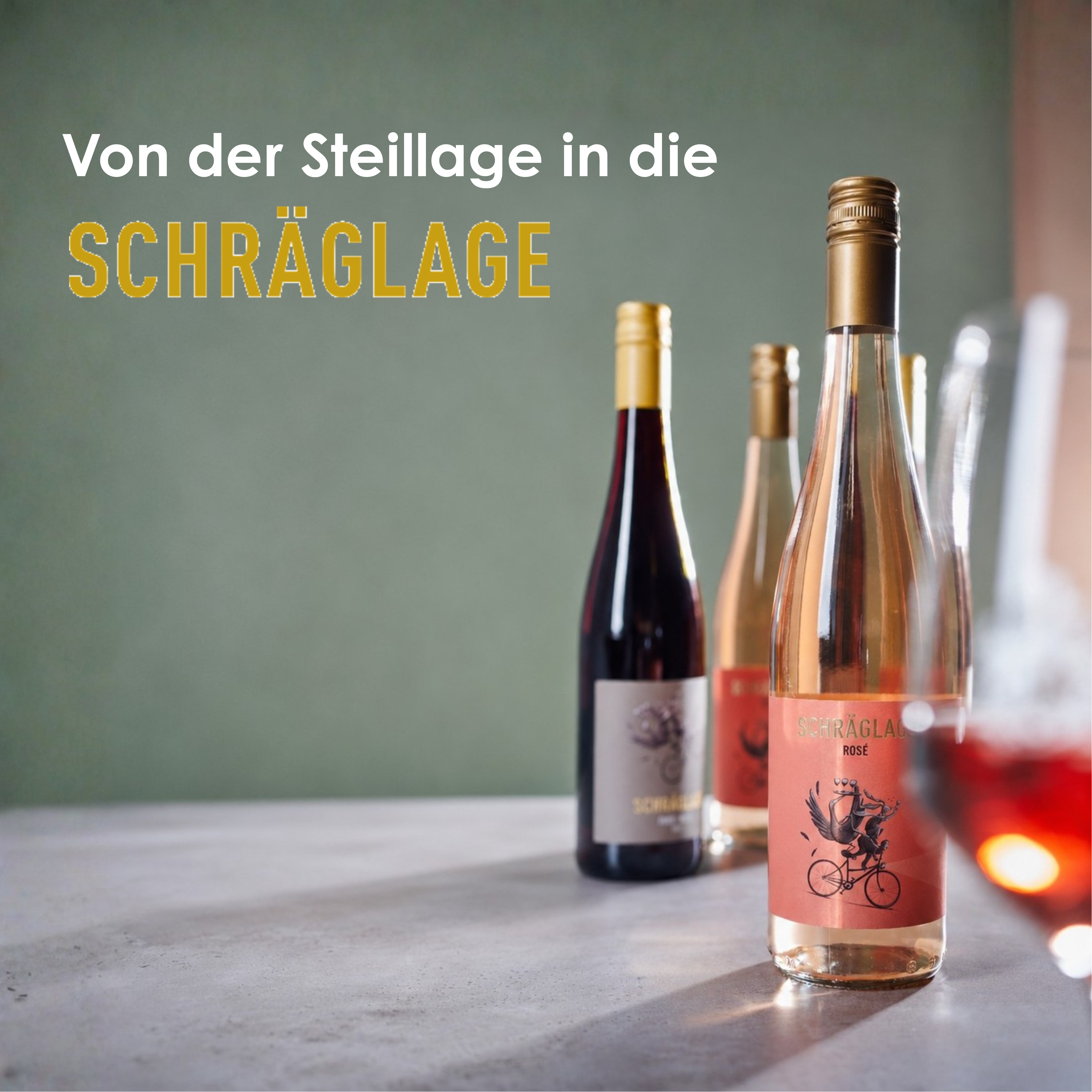 Probierpaket Schräglage – Freunde für jeden Tag | Riesling, Burgunder & Pinot Noir